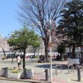 中池袋公園