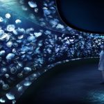 サンシャイン水族館　新クラゲエリア “海月空感（くらげくうかん）” 2020年4月に誕生!!