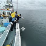 サンシャイン水族館　水中ドローンはじめました